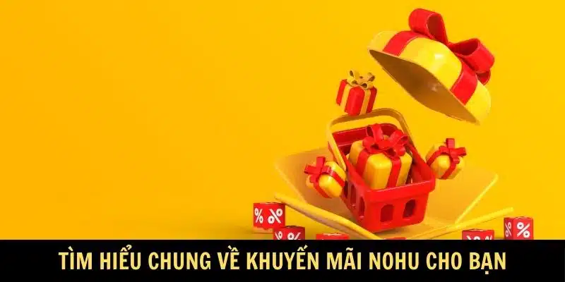 Tìm hiểu chung về khuyến mãi nohu cho bạn Tìm hiểu chung về khuyến mãi nohu cho bạn