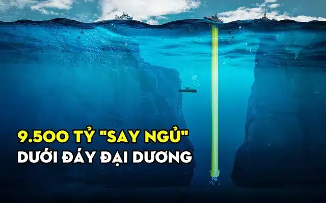 Slot “Kho Báu Đại Dương” – Cuộc phiêu lưu giữa lòng đại dương xanh Slot “Kho Báu Đại Dương” – Cuộc phiêu lưu giữa lòng đại dương xanh